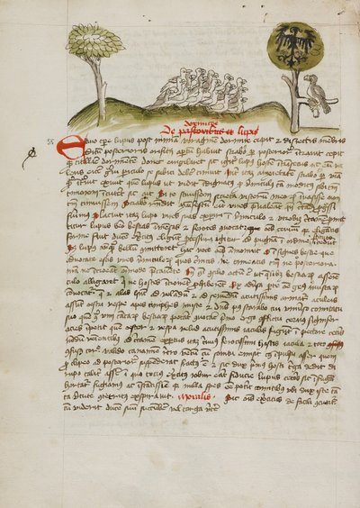 Madárraj egy fa alatt, köztük egy koronás sas, szárnyán heraldikai címerrel. alkotó: Unknown artist