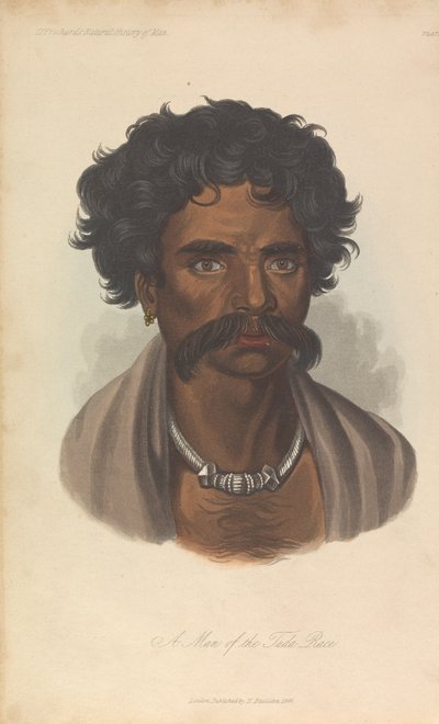 A Tuda faj embere alkotó: Unknown artist