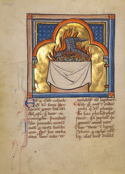 Egy Főnix alkotó: Unknown artist