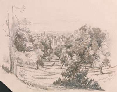 Kilátás a Danbury Parkra alkotó: Unknown artist
