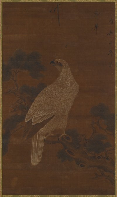 Fehér sas egy fenyőágon alkotó: Unknown artist