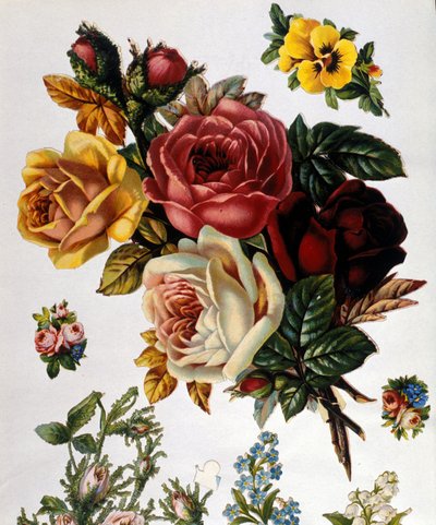 Egy csokor rózsa. 19. századi kromolitográfia. alkotó: Unknown artist