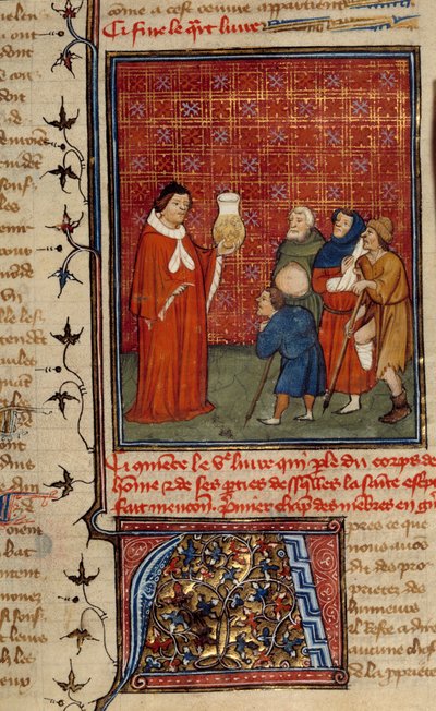 Egy orvos egy üveg vizeletet vizsgál a betegek előtt. Az angol Barthelemytől vett miniatűr alkotó: Unknown artist