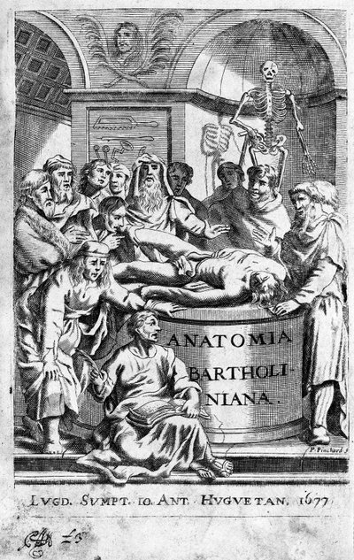 Az anatómiai leckét Frontispice átvesz Thomas Bartholin (1616-80) (Bartholinus) „Anatomia Reformata”-ból, 1677 alkotó: Unknown artist