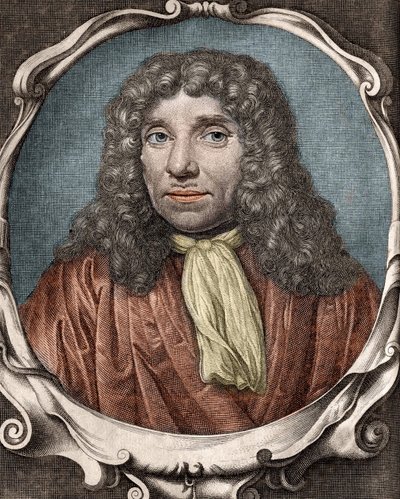 Anthony Van Leeuwenhoek vagy Anton van Leeuwenhoek, vagy Leeuvenhoek, vagy Leeuwenhoeck.holland természettudós (1632-1723). 18. századi metszet alkotó: Unknown artist