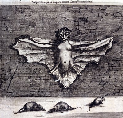 Denevérek és patkányok. „De China Monumenta”, Athanasius Kircher alkotó: Unknown artist