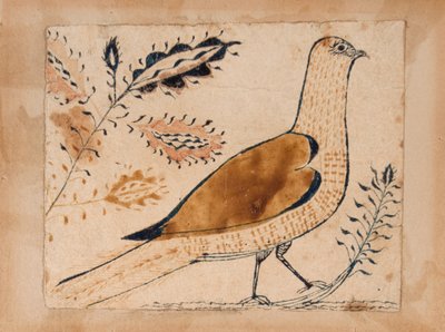 Madár alkotó: Unknown artist