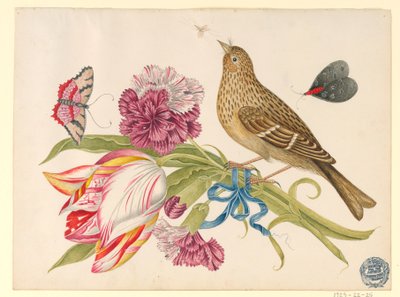 Madár tulipánnal, szegfűvel, pillangókkal és rovarral alkotó: Unknown artist