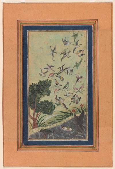 Madarak Baránban, valószínűleg a Babur-namából alkotó: Unknown artist