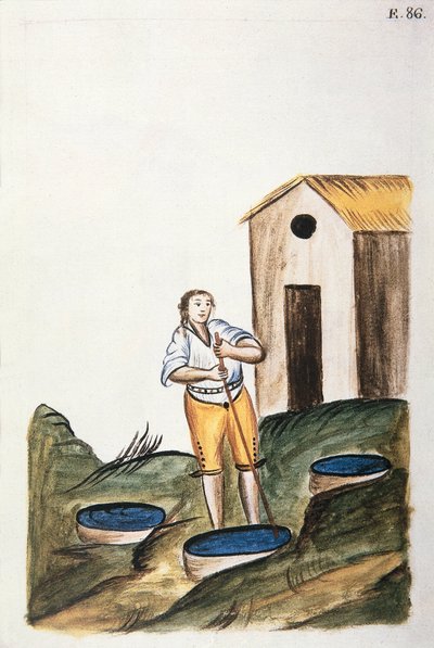 Gyapjúfestésre használt kék festéktálca a „Peru Trujillo” vagy „Codex Martinez Companion” című könyvéből, Baltazar Martinez Companion és Bujanda, Trujillo püspöke (1782-1785) alkotó: Unknown artist