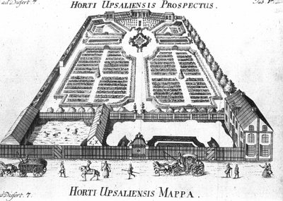 Botanikus Kert - HORTI UPSALIENSIS leendő és terve. alkotó: Unknown artist