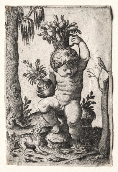 Fiú gyümölcskosárral alkotó: Unknown artist