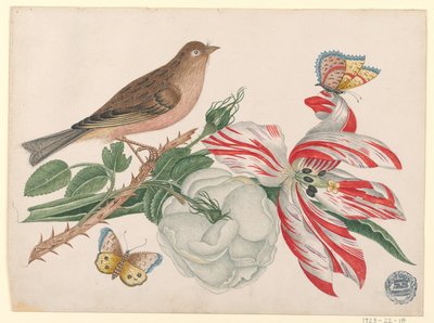 Barna madár ágon rózsával, tulipánnal és rovarokkal alkotó: Unknown artist