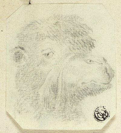 Tevérfej jobbra néző alkotó: Unknown artist