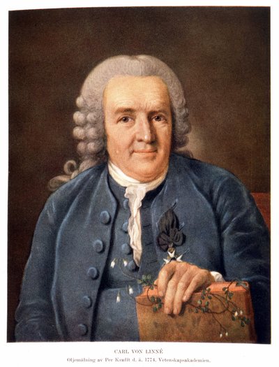 Carl Von Linné svéd természettudós és író alkotó: Unknown artist
