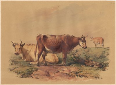 Marha alkotó: Unknown artist