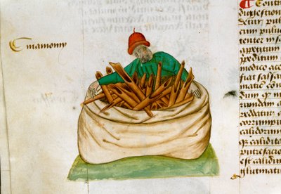 Fahéj eladó Gyógynövények leírása és elkészítési módja. Pedanius Dioscorides (Dioscorides) (i.sz. 40-90) kéziratos oldal: „Füszernövények finomságai”” (Tractatus de herbis) alkotó: Unknown artist