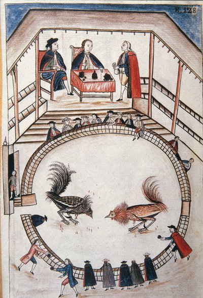Kakasharc, egy nemes vesz részt a párbajban, Baltazar Martinez Compañón y Bujanda, Trujillo püspöke (1782-1785) "Trujillo del Peru" vagy "Códice Martínez Compañón" című könyvéből alkotó: Unknown artist