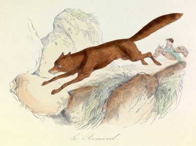 "Completes de Buffon" Linneene nómenklatúrájával és Cuvier osztályozásával: Les animaux: Le fox (metszet) alkotó: Unknown artist