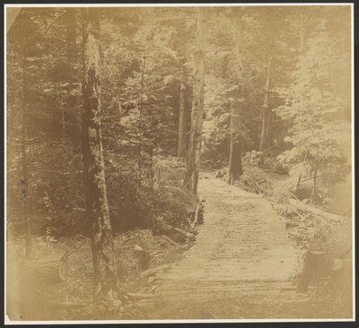 [Corduroy Road a Harper