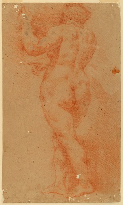Ellenálló tanulmány egy meztelen nőről alkotó: Unknown artist