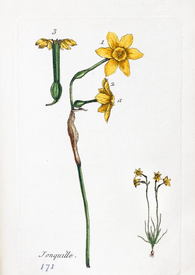  alkotó: Unknown artist