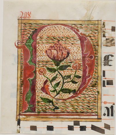 Díszített "P" kezdőbetű virágokkal egy kéziratból alkotó: Unknown artist