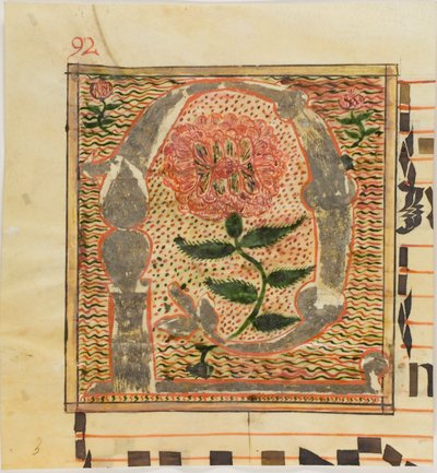 Díszített "P" kezdetű "P" rózsákkal egy kéziratból alkotó: Unknown artist