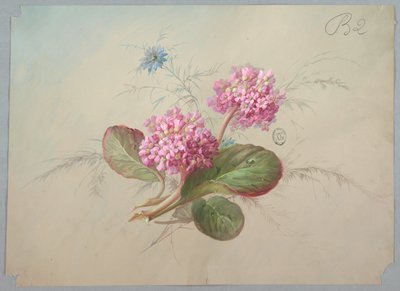 Tapéta és textil dizájn: Virágok alkotó: Unknown artist