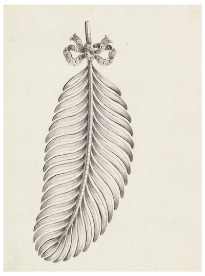 Toll formájú bross tervezése alkotó: Unknown artist