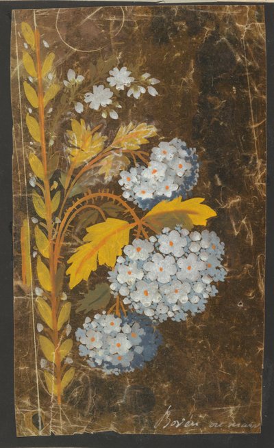 Tervezés hímzett szegélyhez alkotó: Unknown artist