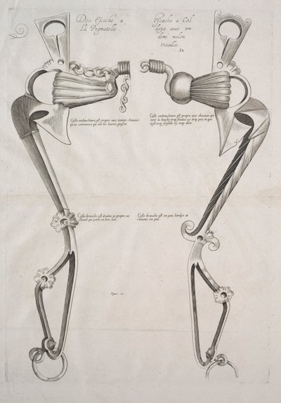 Diagram a ló harapófogójához alkotó: Unknown artist