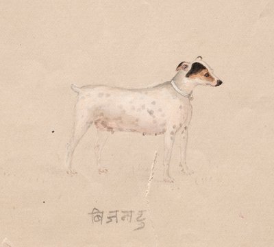 Kutya alkotó: Unknown artist