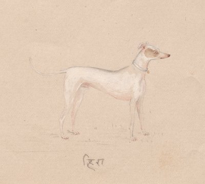 Kutya alkotó: Unknown artist
