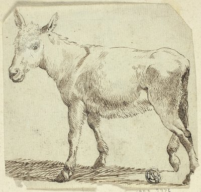 Donkey alkotó: Unknown artist