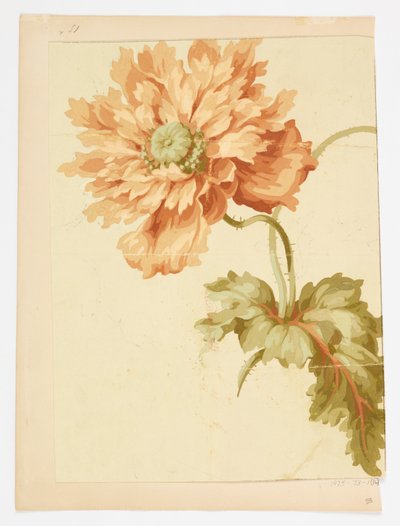 Rajz alkotó: Unknown artist