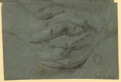 Rajz: Egy tanulmány az összekulcsolt kezekhez alkotó: Unknown artist