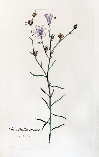  alkotó: Unknown artist
