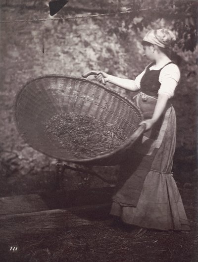 [Női parasztasszony kosárral] alkotó: Unknown artist