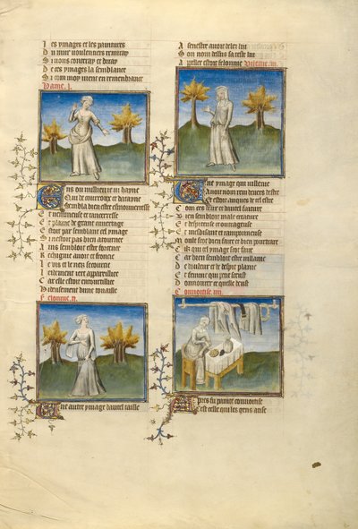 A gyűlölet, a gonoszság, az aljasság és a kapzsiság női megszemélyesítői alkotó: Unknown artist