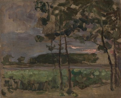Mező fiatal fákkal az előtérben alkotó: Unknown artist