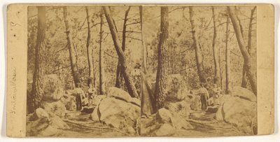 [Fontainebleau] alkotó: Unknown artist