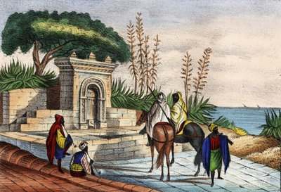 Szökőkút Algír közelében alkotó: Unknown artist