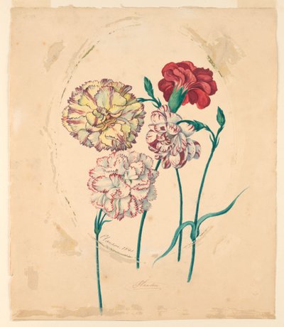 Négy szegfű alkotó: Unknown artist