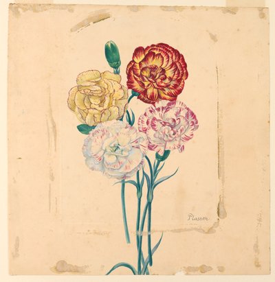 Négy szegfű alkotó: Unknown artist