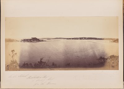 Garden Island, Rushcutters Bay, és Darling Point a tartományból alkotó: Unknown artist