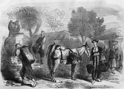 Szőlőszüret Cipruson – metszet a „” Le Journal Illustré”-ből” alkotó: Unknown artist
