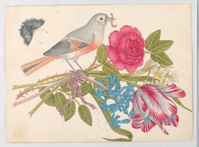 Szürke és korallmadár csokor rózsával, tulipánnal, százszorszépekkel és nefelejcsekkel, pillangóval alkotó: Unknown artist