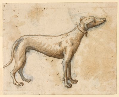 Agár alkotó: Unknown artist