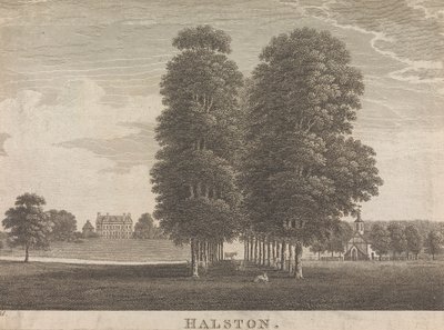 Halston; 22. oldal (Második kötet) alkotó: Unknown artist